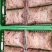 鱼籽黄河鲈鱼籽鲤鱼籽，草鱼籽，质量好价格低2斤一包