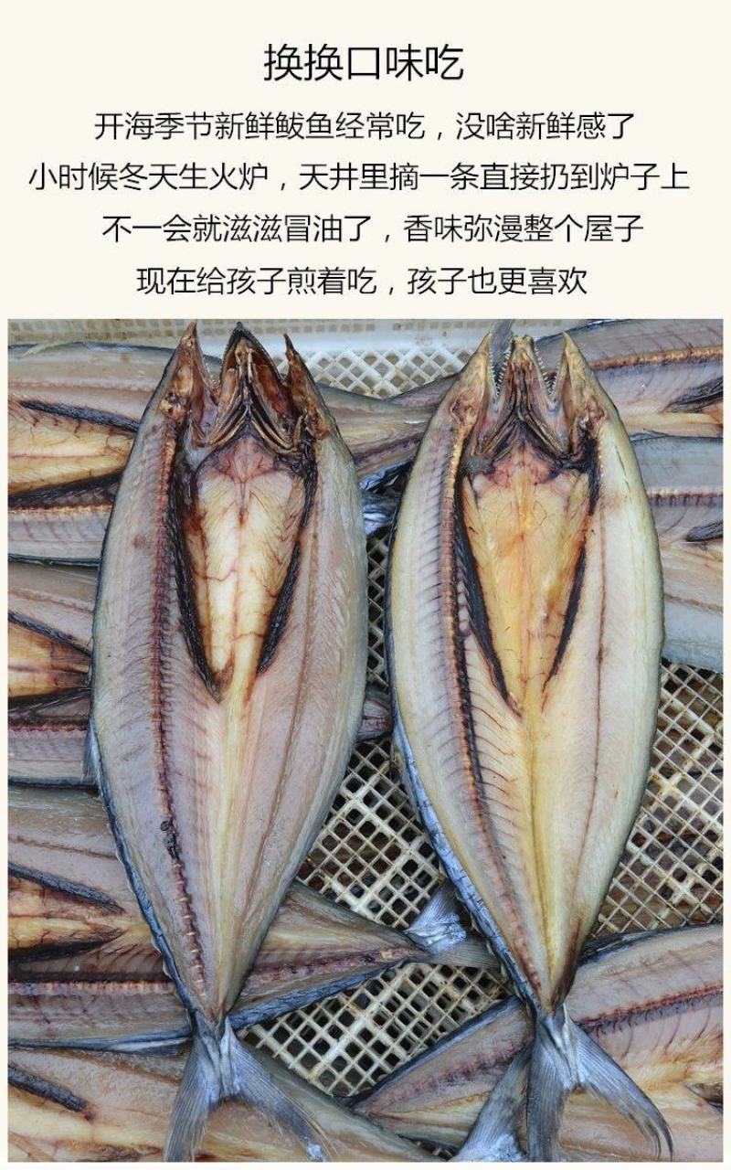 山东鲅鱼干盐干鲅鱼马鲛鱼淡干鲅鱼五到七成干度卤鲜鲅鱼干