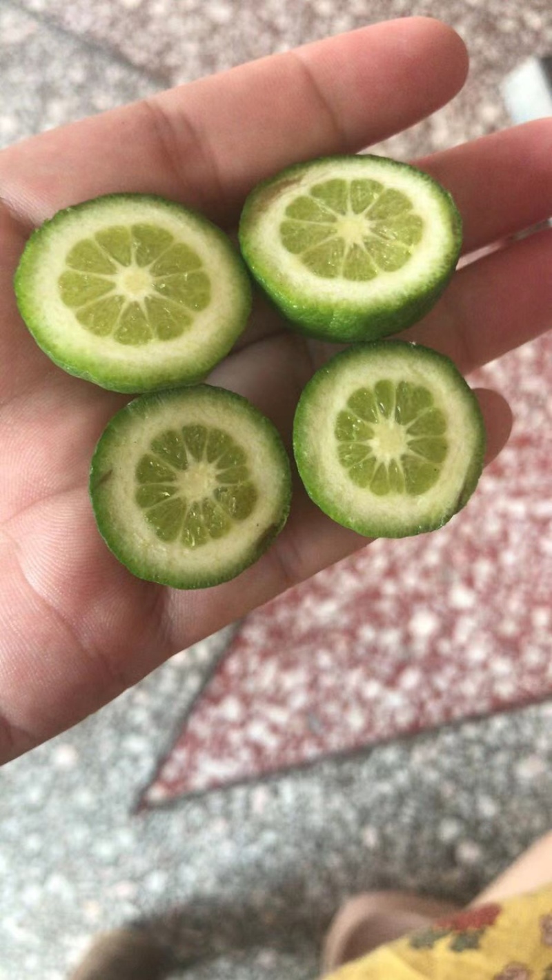 落地果橘子