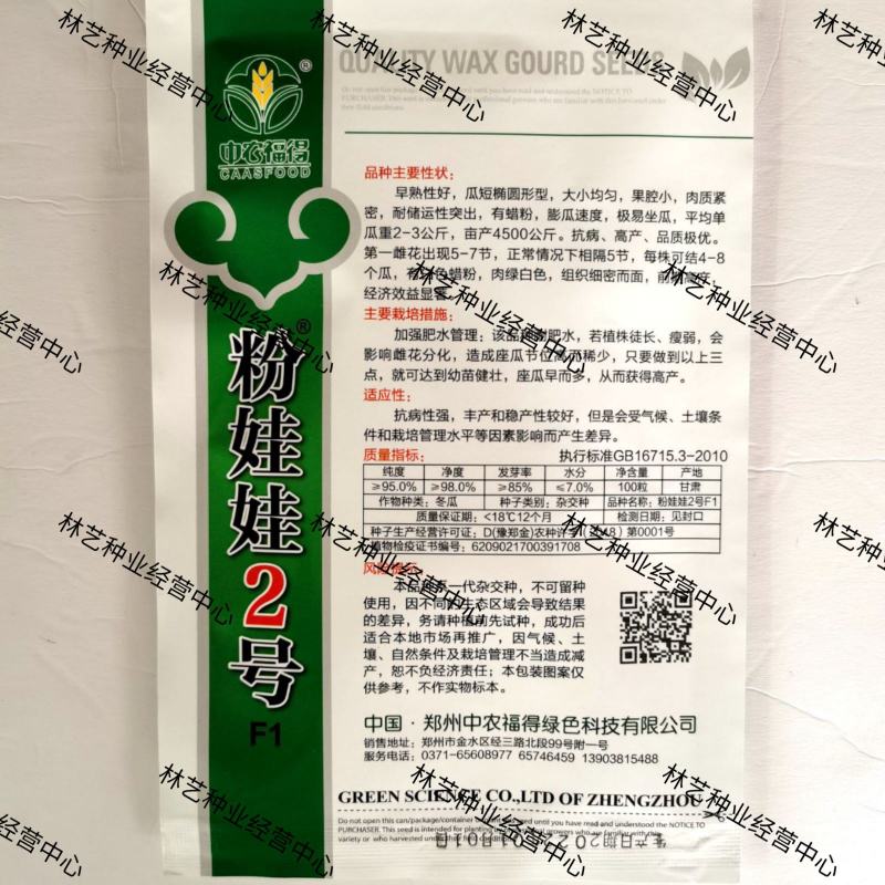 中农福得粉娃娃2号冬瓜种子早熟短椭圆形粉皮冬瓜种籽抗病