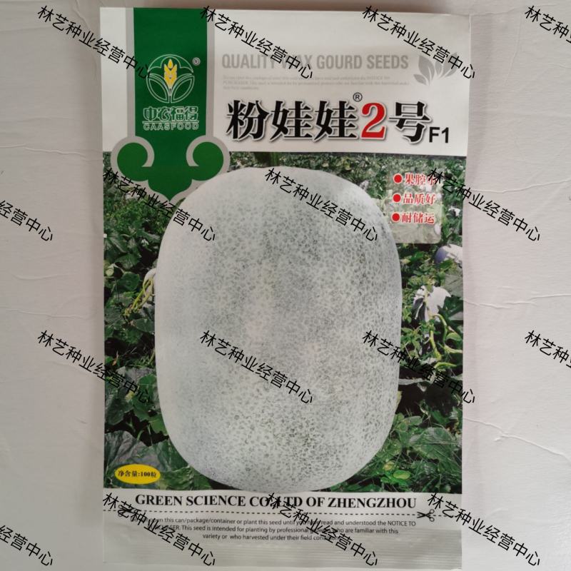 中农福得粉娃娃2号冬瓜种子早熟短椭圆形粉皮冬瓜种籽抗病