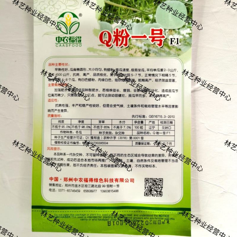 中农福得Q粉一号冬瓜种子籽早熟扁圆形粉皮冬瓜春播大田用