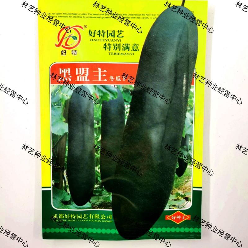 黑盟主长黑皮炮弹型冬瓜种子耐肥水丰产稳产肉质细密耐储运大