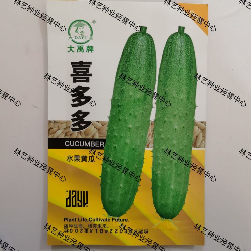 喜多多水果黄瓜种籽小黄瓜种子春季四季阳台盆栽庭院蔬菜种子