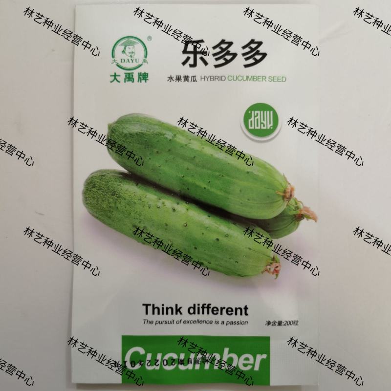 水果黄瓜种子乐多多脆嫩早熟短棒型特大高产春夏秋播优质黄瓜