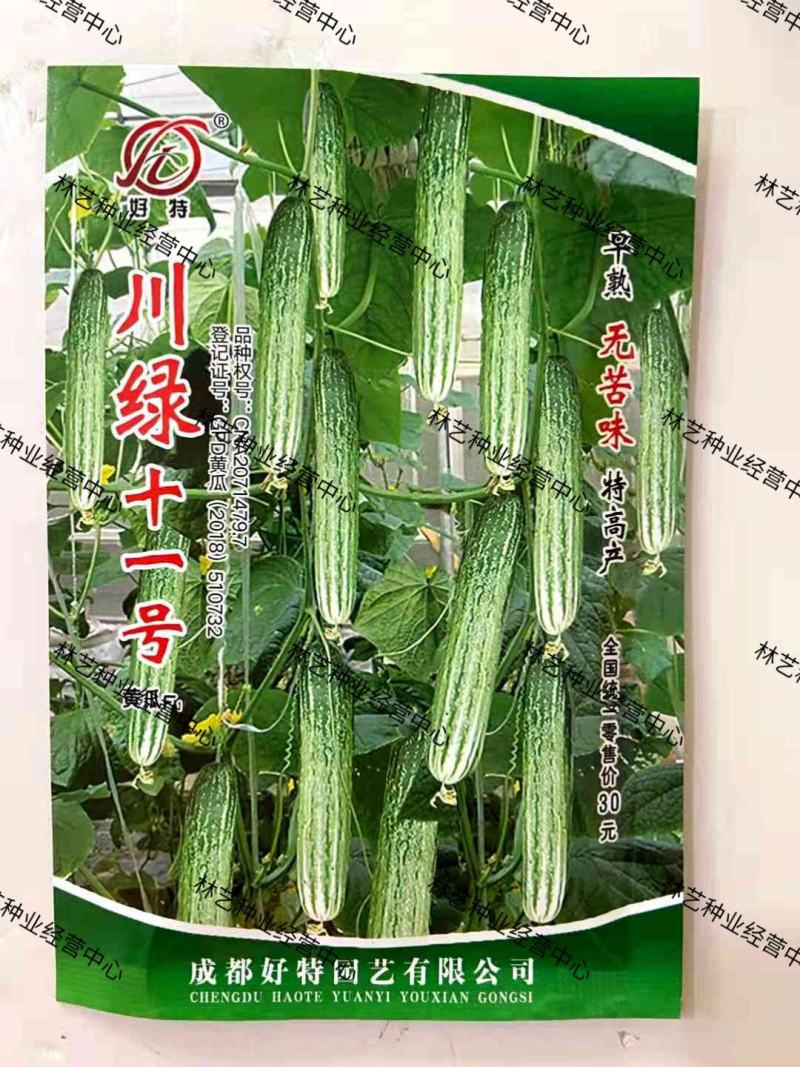 好特黄瓜种子川绿十一号黄瓜早熟无苦味高产适合春大棚露地栽