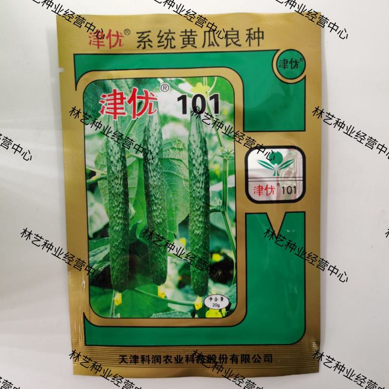 津优101黄瓜种子籽蔬菜种子四季播种露天大棚春秋结瓜