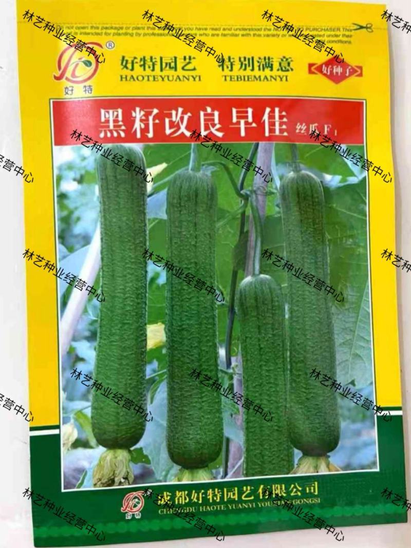 好特黑籽改良早佳丝瓜种子早熟春播顺直青皮丝瓜种籽一节一瓜