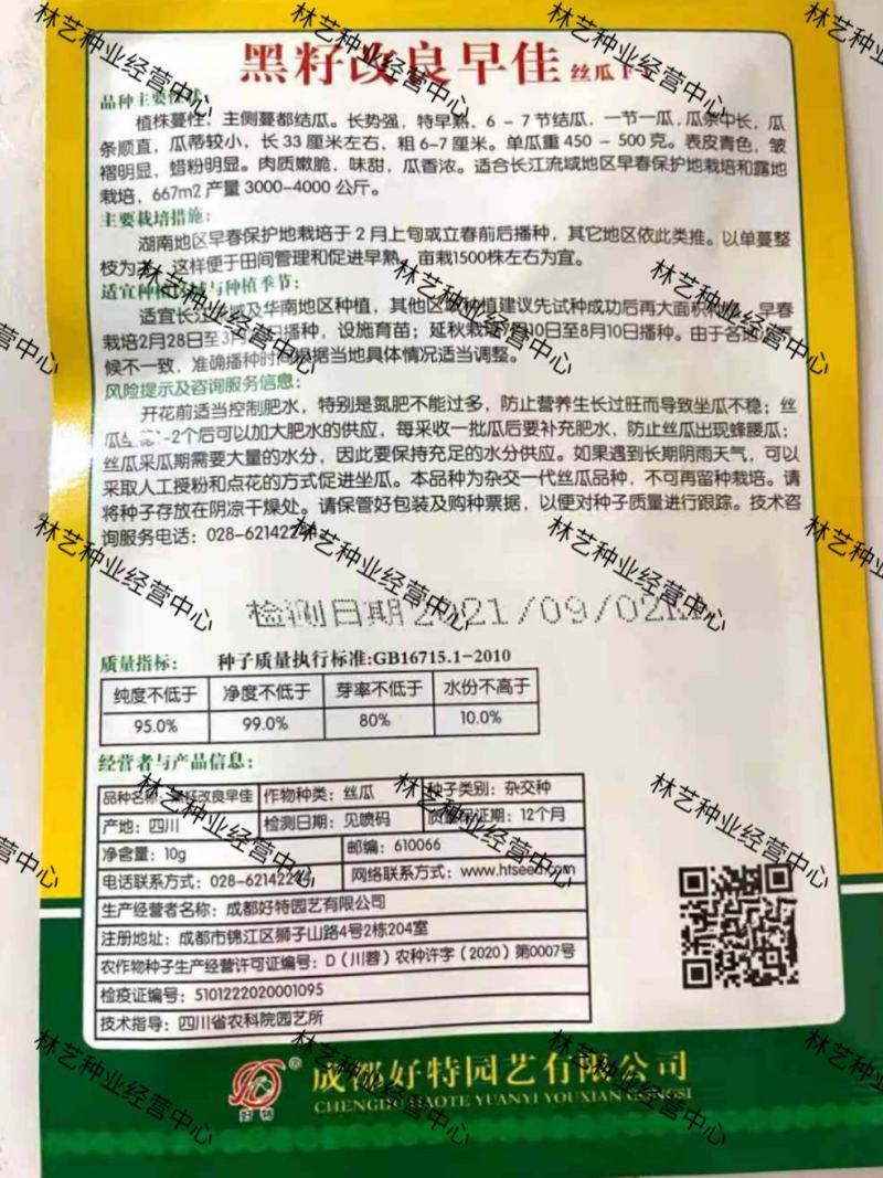 好特黑籽改良早佳丝瓜种子早熟春播顺直青皮丝瓜种籽一节一瓜