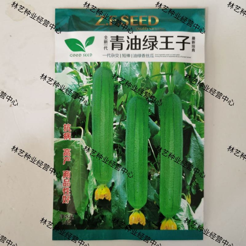 青油绿王子肉丝瓜种子早熟高产种籽春季蔬菜子