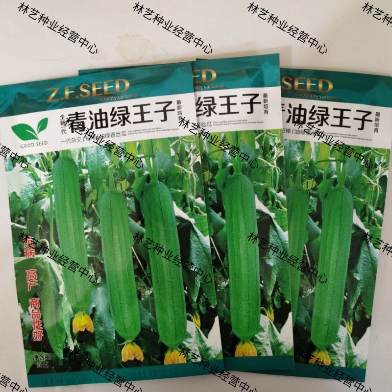 青油绿王子肉丝瓜种子早熟高产种籽春季蔬菜子