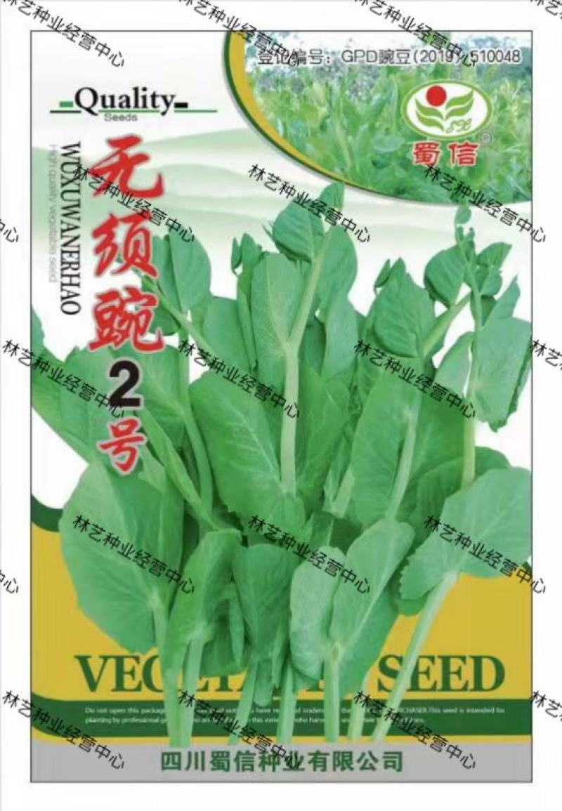 无须豌2号种子无须嫩豆苗籽四季可播种适应性强耐寒抗病大