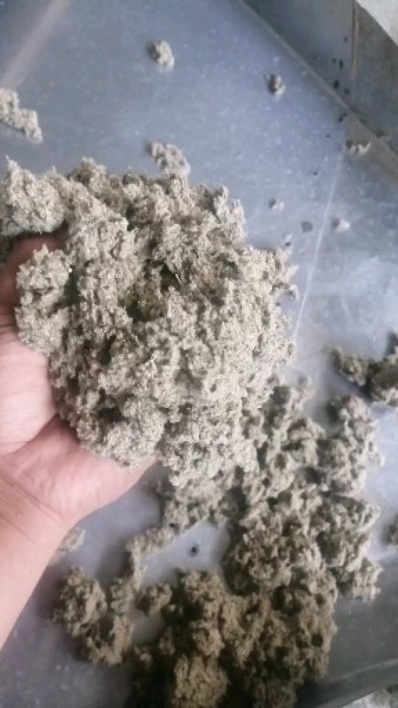 纯正伏牛山大白艾叶经过加工而成的艾绒经过筛选。