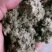 纯正伏牛山大白艾叶经过加工而成的艾绒经过筛选。