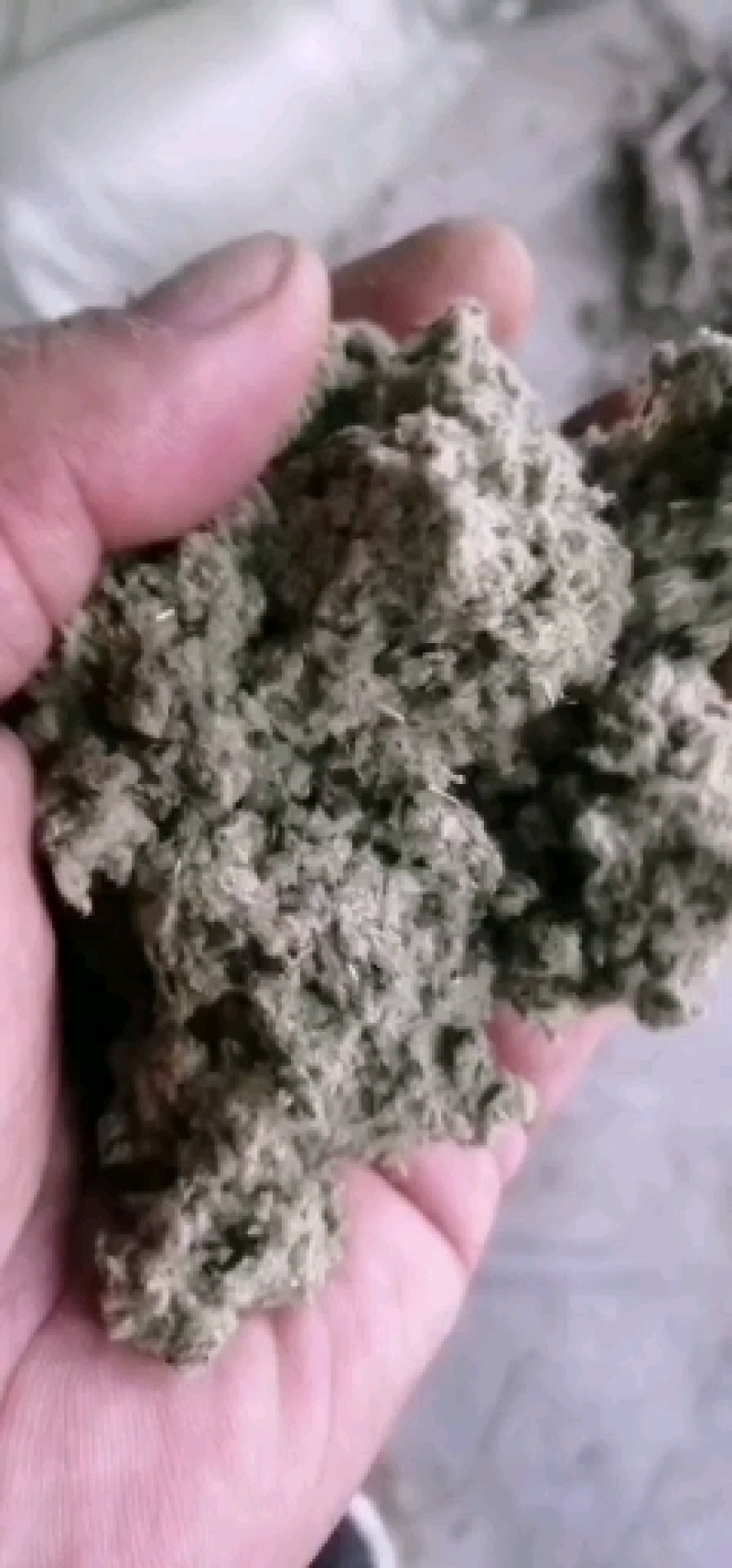 纯正伏牛山大白艾叶经过加工而成的艾绒经过筛选。