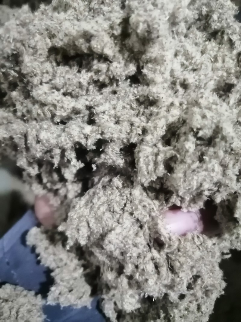 纯正伏牛山大白艾叶经过加工而成的艾绒经过筛选。