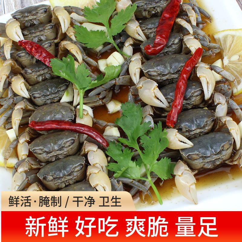 辽宁东港鲜活嘟喽蟹俗称发财蟹可以生腌炝拌
