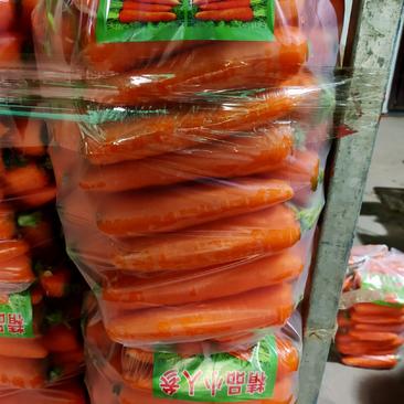 杂交胡萝卜精品中条3两到6两走市场发超市产地直供