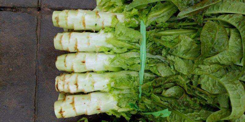 湖北当阳红叶香莴笋大量上市