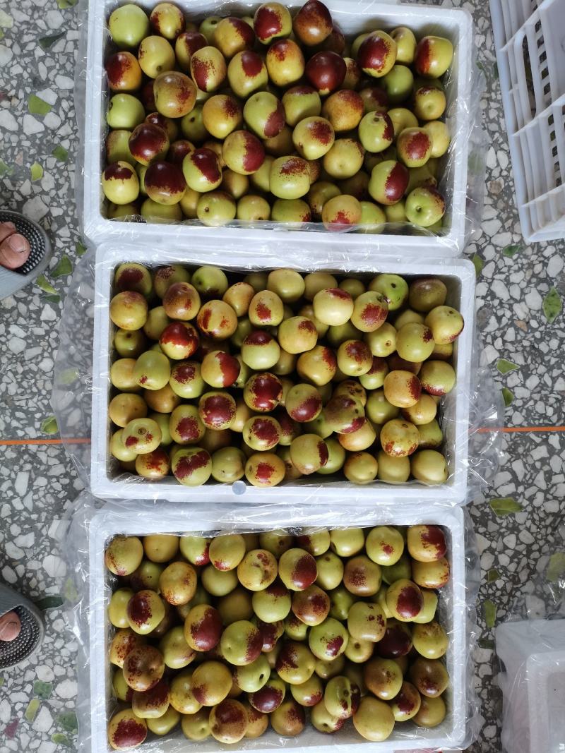 【精选】陕西大荔冬枣一手货源产地直销量大价优欢迎联系