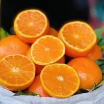 脐橙花果同枝……花是明年的果，果是去年的花，秭归脐橙，江