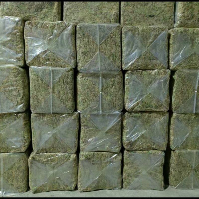 水苔一级特级优质水苔农家自家加工自产自销
