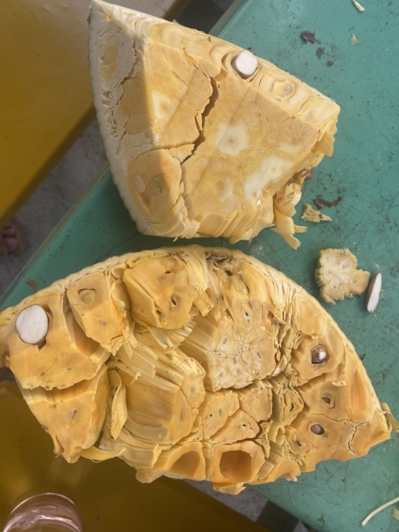 海南陵水8号红肉菠萝蜜