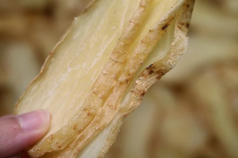 广州人精品特大号天麻切片颜色漂亮干度好一件代发批发