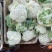 精品松花