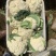 精品松花