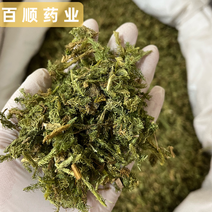 伸筋草干货颜色好各种草类中药材批发