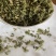 伸筋草干货颜色好各种草类中药材批发