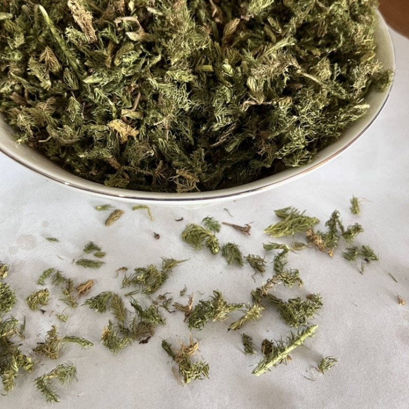 伸筋草干货颜色好各种草类中药材批发