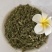 伸筋草干货颜色好各种草类中药材批发