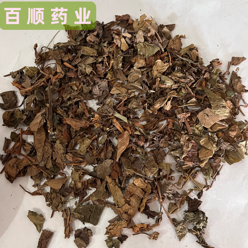 鱼腥草产地直销含量高量大从优欢迎新老客户前来购买。