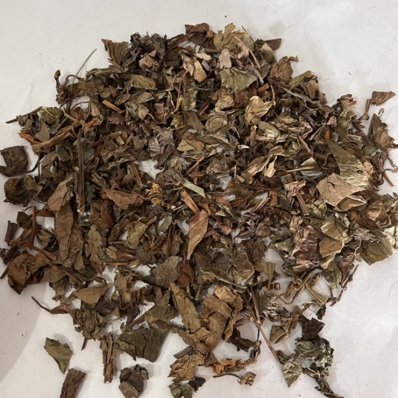 鱼腥草产地直销含量高量大从优欢迎新老客户前来购买。