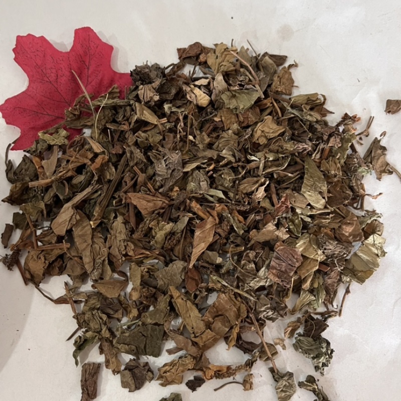 鱼腥草产地直销含量高量大从优欢迎新老客户前来购买。