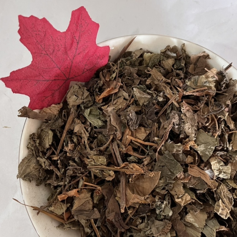 鱼腥草产地直销含量高量大从优欢迎新老客户前来购买。