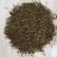 半枝莲半枝莲统段地道药材量大从优