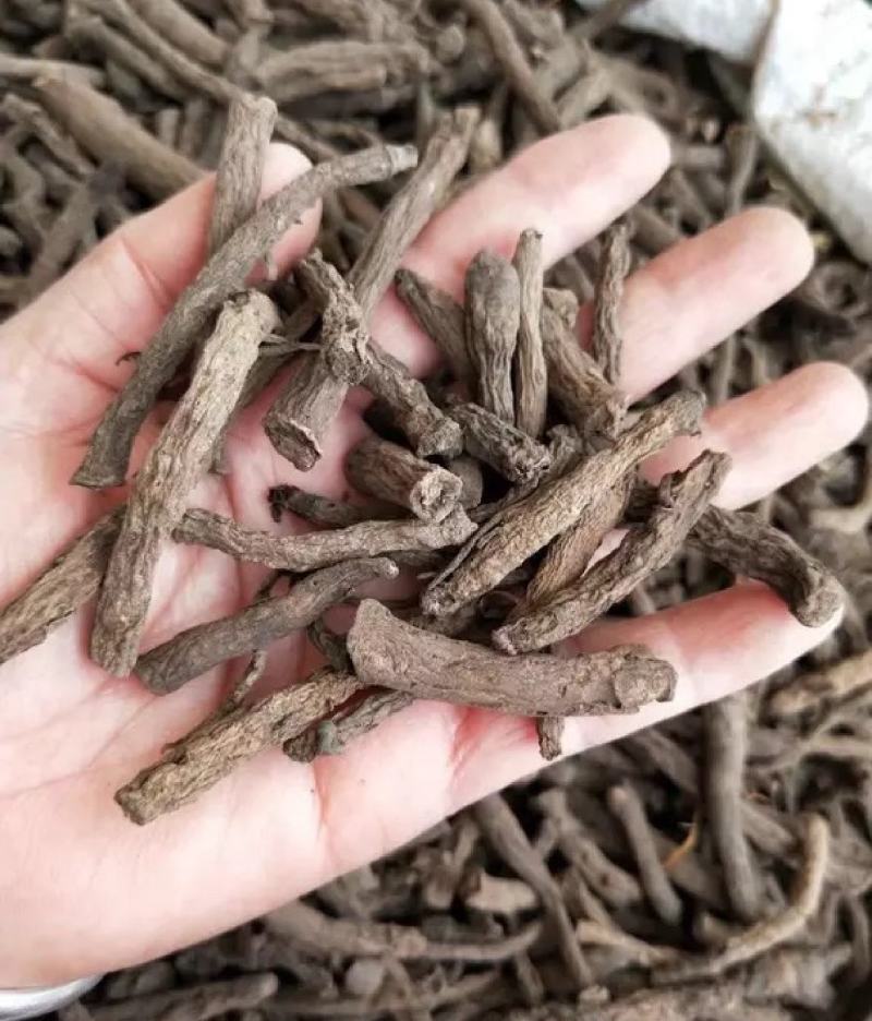 仙茅统装500g产地广西振兴药材购销站量大从优