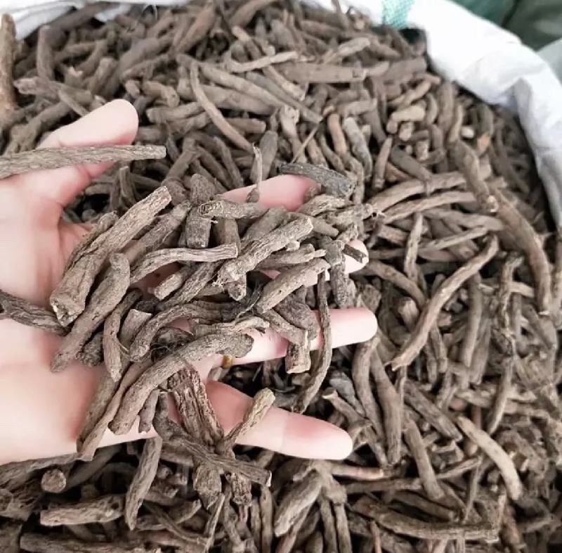 仙茅统装500g产地广西振兴药材购销站量大从优