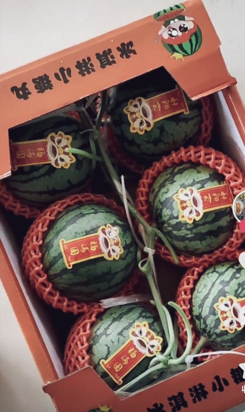 山东聊城河店镇大量供应2k礼品西瓜，剥皮西瓜，全美2k西