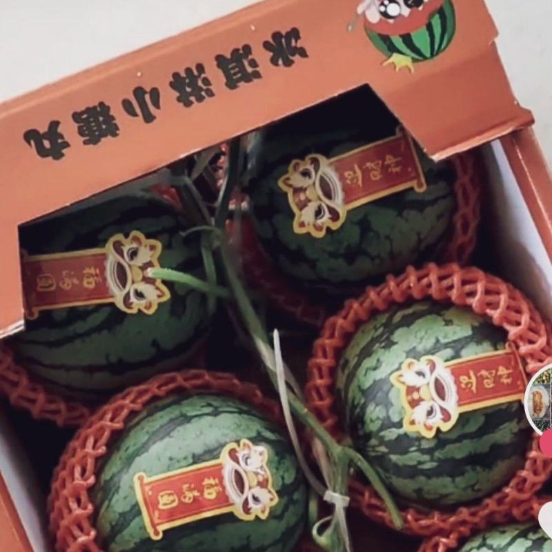 山东聊城河店镇大量供应2k礼品西瓜，剥皮西瓜，全美2k西