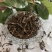 旱莲草墨旱莲新货干品无硫熏一公斤起批