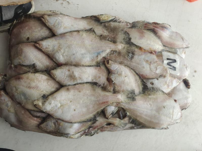 偏口鱼板冻偏口鱼鲽鱼宗八鲽鱼各种规格新货高品质