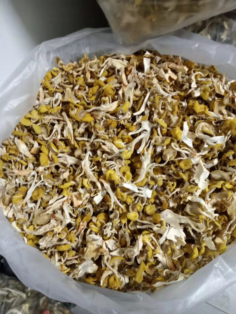 烘干鸡油菌，大量烘干鸡油菌，价格好商量……云南本地货，