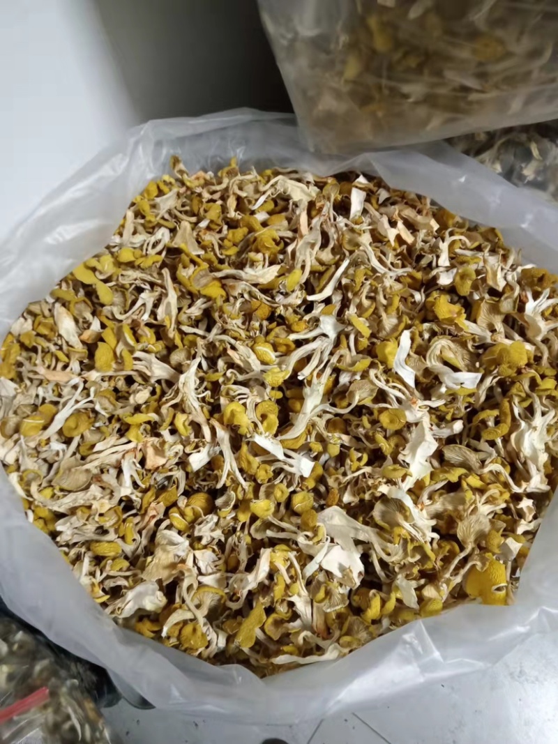 烘干鸡油菌，大量烘干鸡油菌，价格好商量……云南本地货，