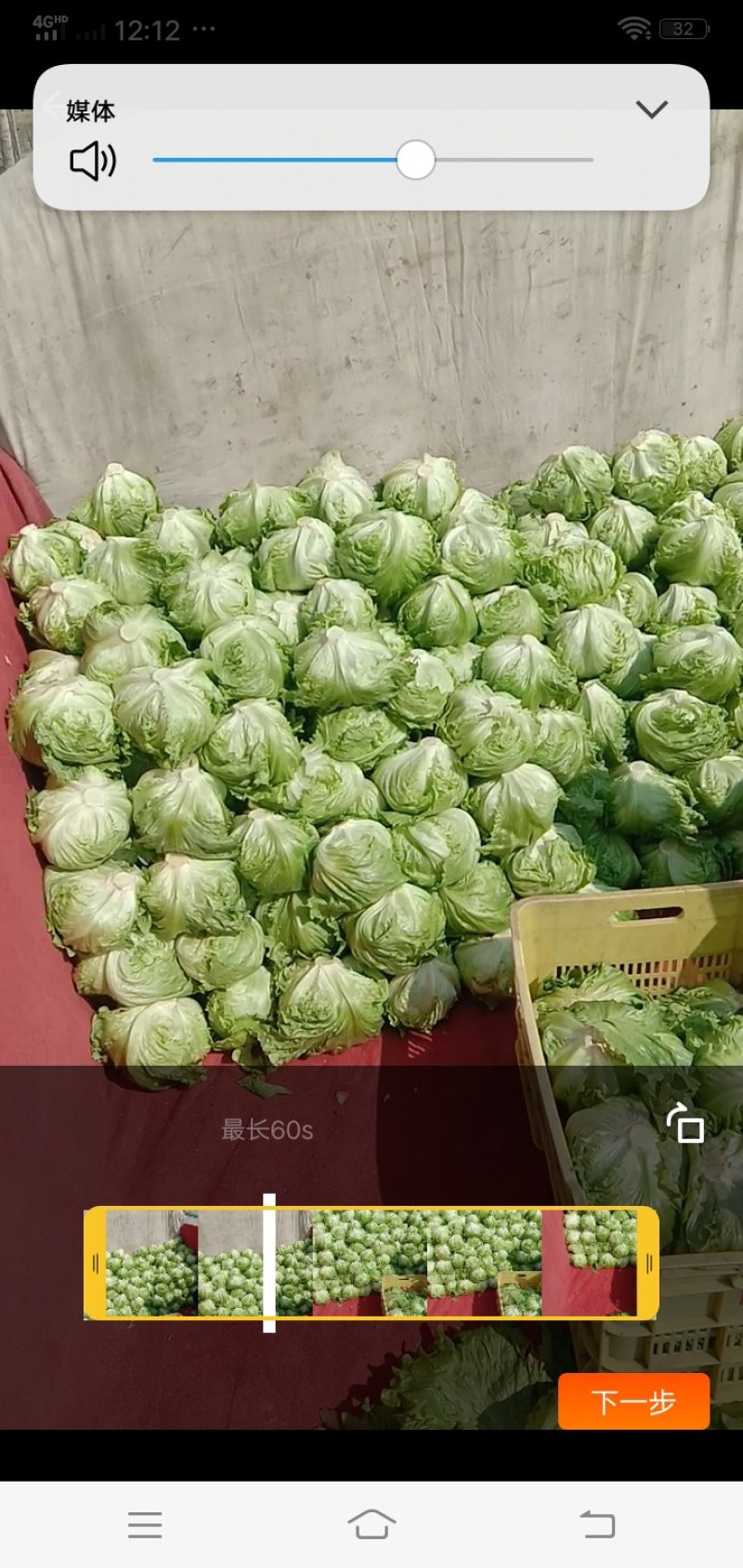 球生菜