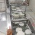 批发小饼单饼，口感好，质量保证，欢迎咨询下单