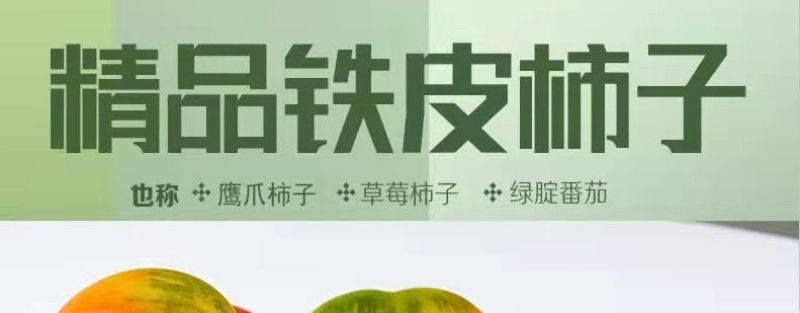 一件代发碱地柿子草莓柿子支持电商主播